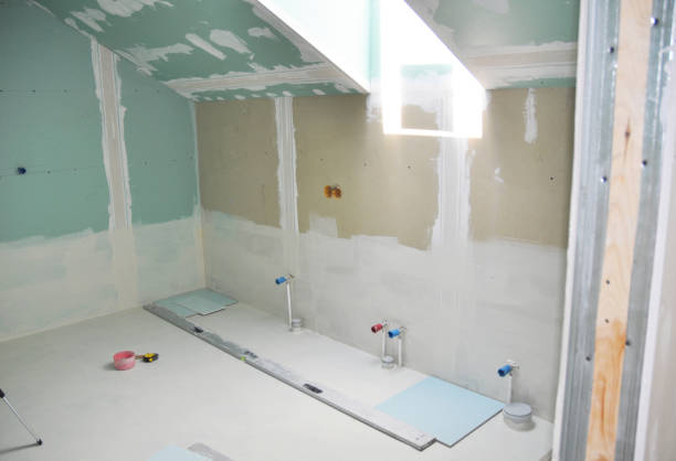 Trusted Cut Bank, MT Mold Removal Experts