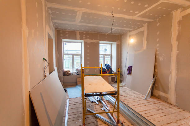 Best Emergency Mold Remediation  in Cut Bank, MT
